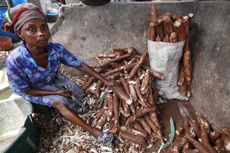A woman peels cassava to make cassava flour last week in a market in Lagos, Nigeria. The potato-like root helps feed 500 million Africans.