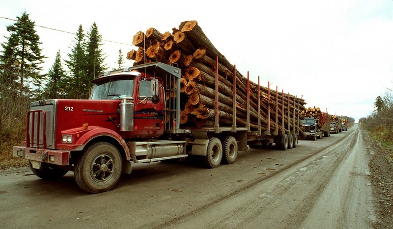 Maine's forests generate more than $5 billion a year to the economy through the production of timber and wood products. Tourism and recreation jobs also depend on the health of the forestry industry.