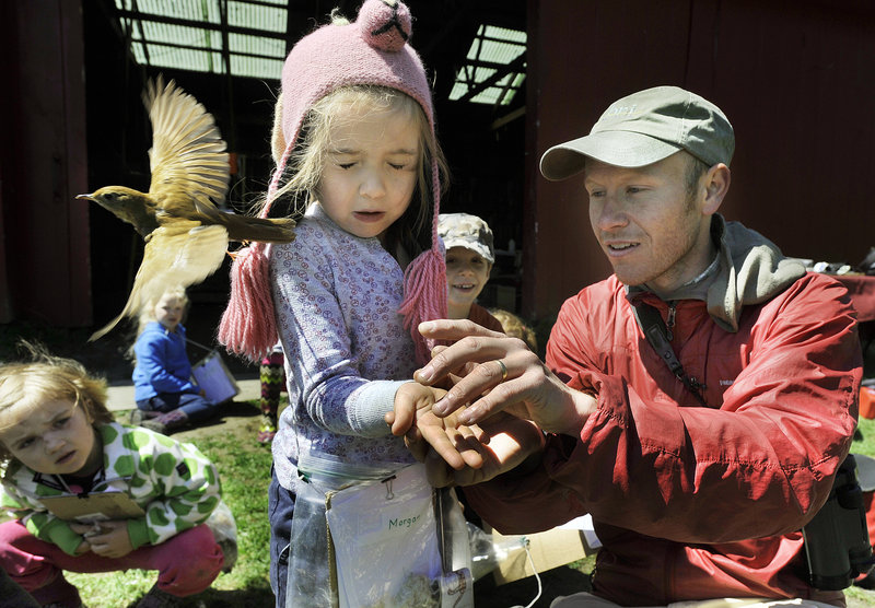 Biologist Patrick Keenan helps Morgan Earls, a Waynflete student, release a veery after banding it Tuesday at River Point in West Falmouth.