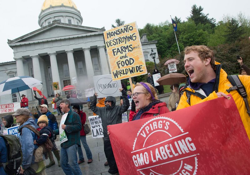 Protesters rally against Monsanto in Montpelier, Vt., on Saturday, as marches against the company were held in more than 250 cities around the world. Critics say genetically modified organisms can lead to serious health conditions and harm the environment.