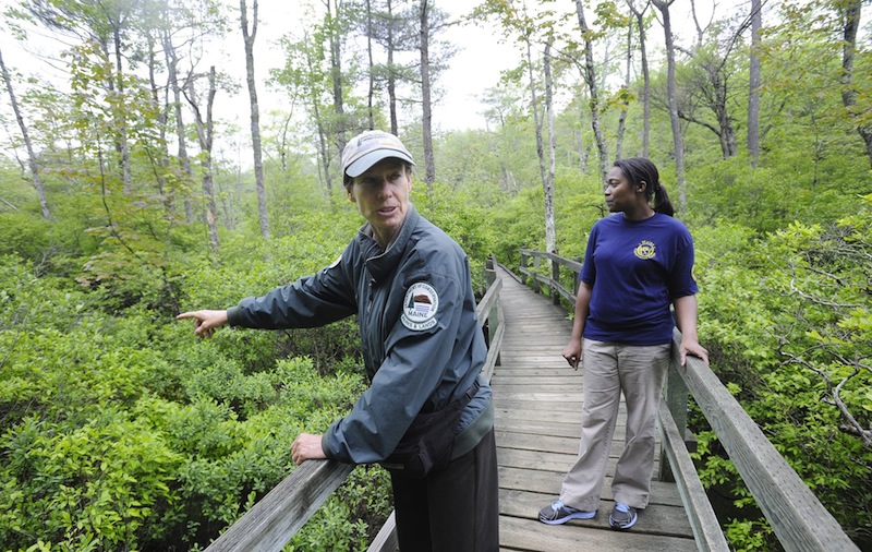 In this May 2012 file photo, Ferry Beach State Park Ranger Janet Mangion points out growth in Tupelo Swamp while walking down the boardwalk on Tupelo Trail. Maine officials are encouraging Mainers to explore the outdoors by offering free admission at state parks and historic sites on Father's Day.