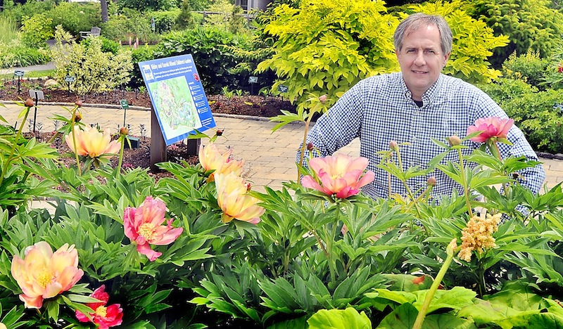 William Cullina, executive dorector of Coastal Maine Botanical Gardens, is surrounded by hybrid Peonies and a multitude of other plants in the Bibby and Harold Children's Garden. He and his organization won the Award of Excellence from the National Garden Clubs, Inc..