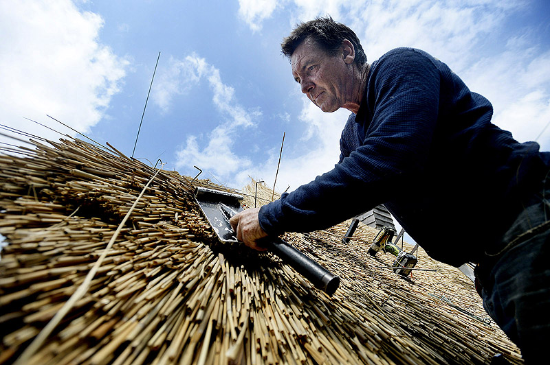 McGhee uses a leggett to position the reeds as he installs the roof Monday. He’s been thatching roofs for more than 30 years, and this is his fifth one in Maine.