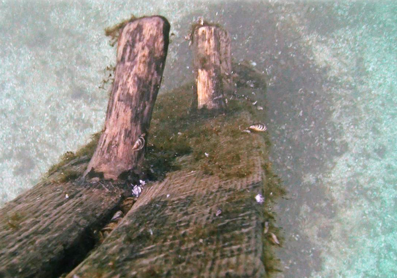 In this October 2012 image from video, timbers protrude from the bottom of Lake Michigan.They were discovered by Steve Libert, head of Great Lakes Exploration Group, in 2001.