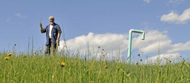 Johnny Thomas stands with some native flowers next to a methane vent on top of the landfill at the Oakland transfer station on Wednesday. Thomas is spearheading a special habitat for migrating monarch butterflies and hummingbirds on the grassy dump mounds, with a $1,000 donation from the Lions Club.