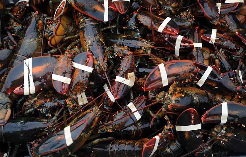 Gov. Paul LePage has signed off on L.D. 486, a long-debated legislative proposal creating the Maine Lobster Marketing Collaborative to replace the Lobster Promotion Council.