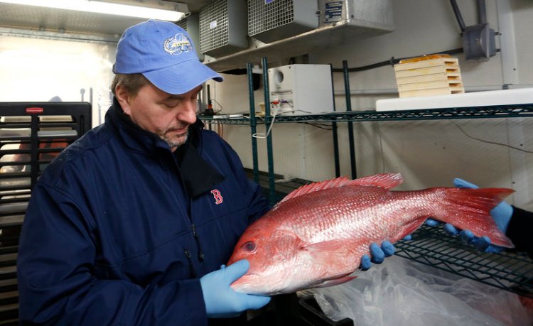The chef's day is always filled with activity. Harding Lee Smith shops for fish recently at Browne Trading Co. in Portland.