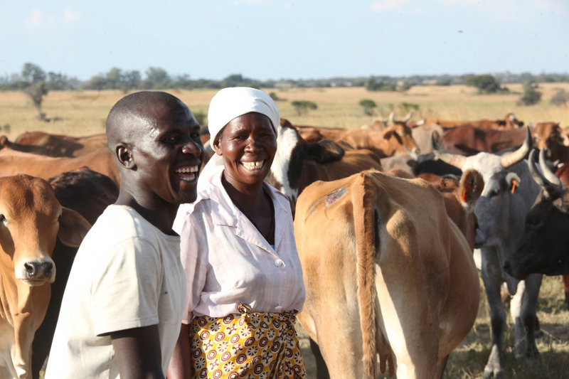 Nerwande Chirovzvo and his mother, Christine, stand among their cattle near Harare, Zimbabwe. The nation’s first “Cattle Bank” has just opened, where depositors can get loans of an equal value of the cattle they have put in the bank.