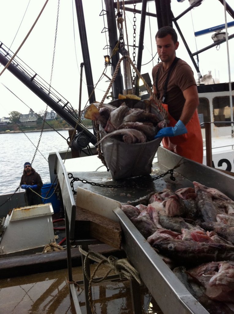 A day’s catch bound for Eat Local Fish customers is off-loaded on the Portland waterfront.