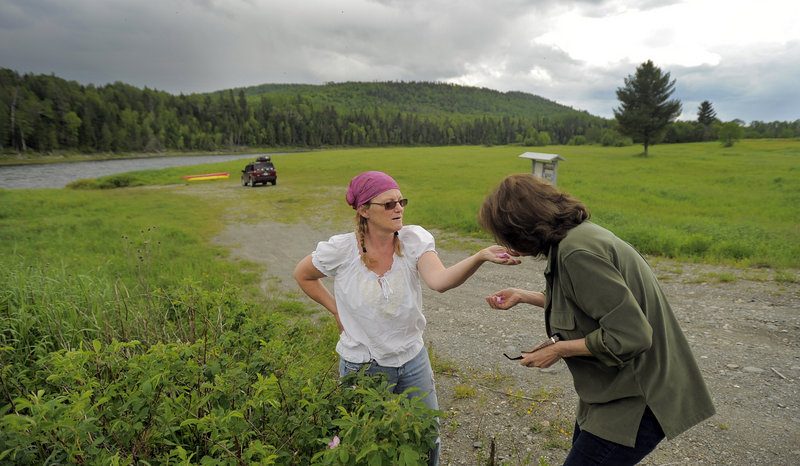 Cathie Pelletier stops to smell the flowers with Darlene Kelly Dumond, a childhood friend.