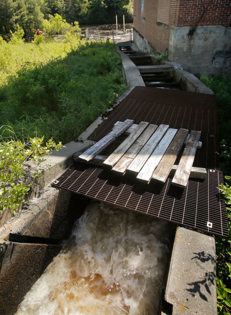 Boards lying on a grate over the fishway at the Grand Falls Dam in Baileyville had been used to block passage of alewives. After nearly two decades, this year the fish are allowed to resume their annual journey.