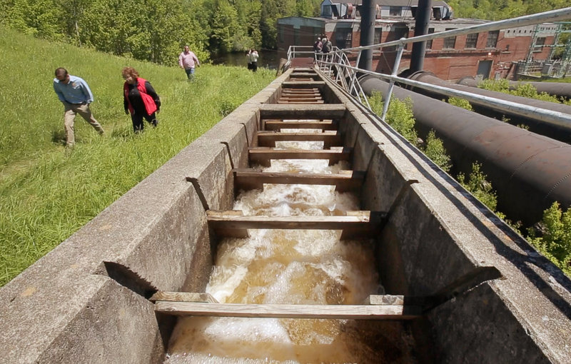 People walk past the fish ladder at the Grand Falls Dam in Baileyville on June 5, the same day the Passamaquoddy Tribe and various federal and state agencies celebrated the return of alewives to the fishway. The event followed passage of a state law that reversed an 18-year-long blockade of the fish on the waters above Grand Falls Dam.