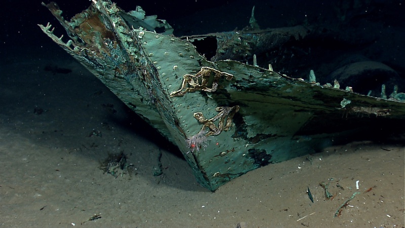 The oxidized copper hull sheathing and possible draft marks are visible on the bow of a wrecked ship in the Gulf of Mexico about 170 miles from Galveston, Texas.