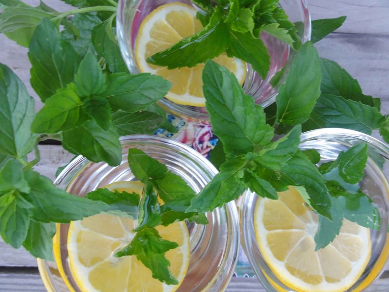 Lemon and mint infusion is good hot or cold.