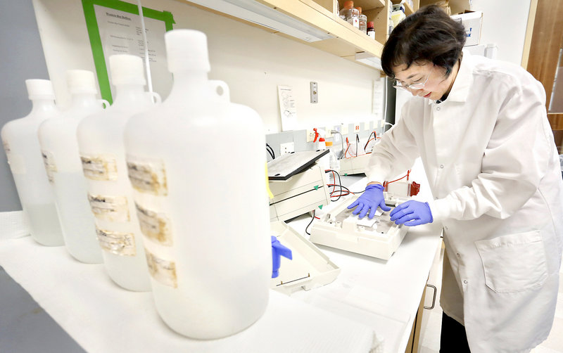 Dr. Xuehui Yang places paper on top of a layer of gel and a layer of membrane in a machine that transfers protein to the membrane at the Maine Medical Center Research Institute in Scarborough on July 1, 2013.