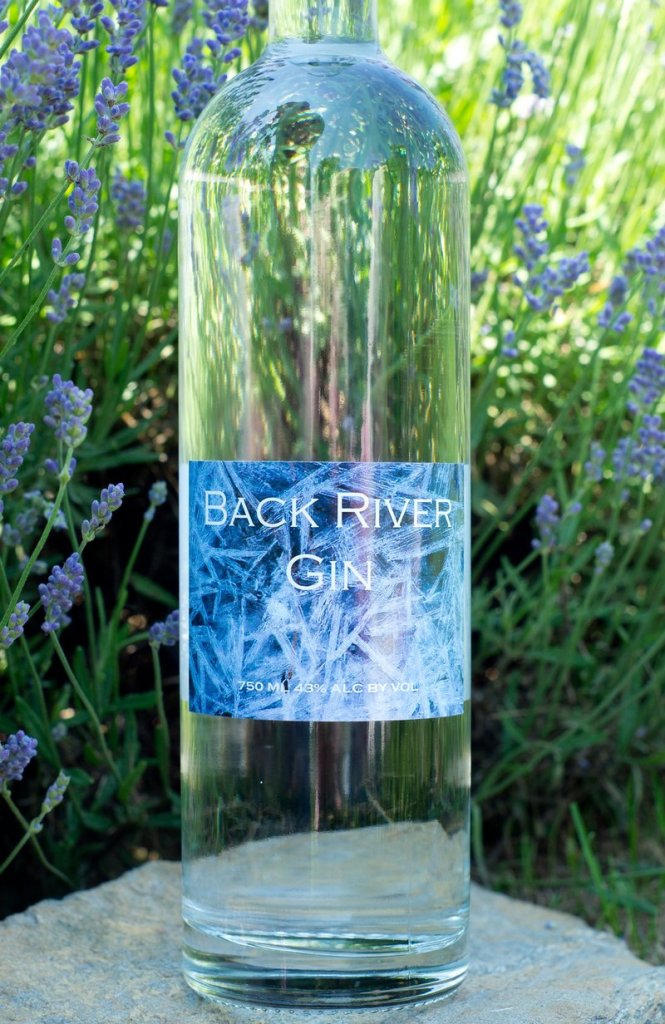 Back River gin, made by Sweetgrass Farm Winery & Distillery in Union.