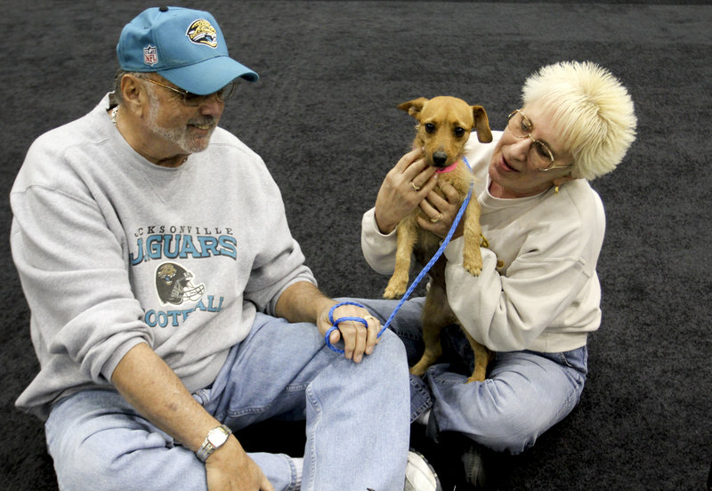 MGM Grand poker dealer Dar Reike holds her dog, Alexia, next to her husband, Rick Reike. Her company offers discounted pet health insurance, but she declined it.