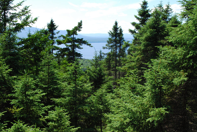 The trails of Burnt Mountain offer impressive views of Moosehead Lake – and potential aplenty to bring more tourists to this largely unspoiled region.