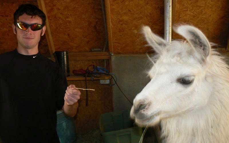 Accused Colorado gunman James Holmes poses with a llama in this photograph submitted with his application to graduate school at the University of Illinois. Holmes was a promising graduate student in neuroscience at the University of Colorado, Denver, but a psychiatrist treating him at the school said he had threatened her.