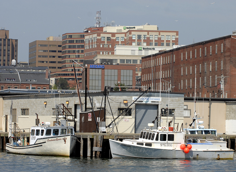 In this 2007 file photo, the Portland skyline looms over the Portland Fish Pier. Climate change is only one of several threats to New England fisheries, and it might not even be the most serious, scientists and policy makers said at a symposium Thursday, August 1, 2013 in Portland.