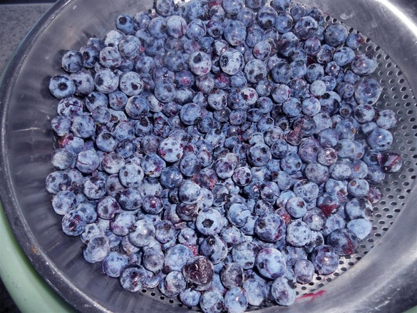 Eating blueberries can help reduce the risk of developing Type 2 diabetes, researchers say.