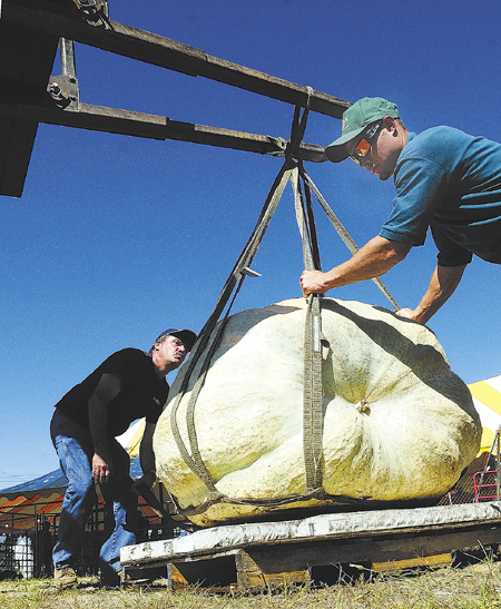 Al Berard, left, and Evan St. Jean guide one of Berard's pumpkins as a tractor lifts it off a scale and back onto a pallet, after being weighted during the opening day of the 2013 Windsor Fair today in Windsor.