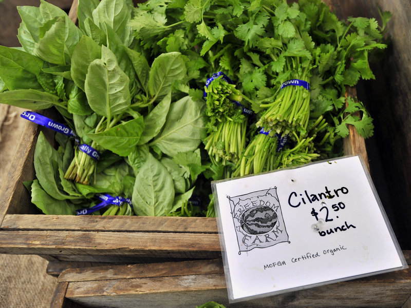 Prominent labels indicate that these bunches of cilantro from Freedom Farm are certified organic, something many produce shoppers desire.