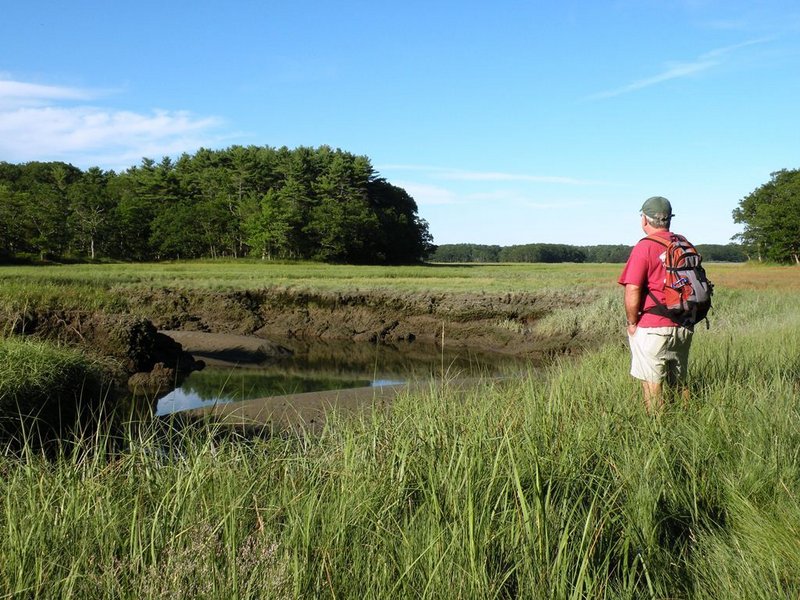 Chauncey Creek, which is among the refuge’s transitional zones, teems with wildlife that feed on the nutrients carried in on the twice-daily tides.