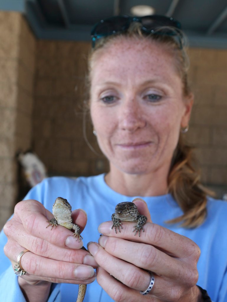 Melissa Booker, a civilian wildlife biologist working for the Navy on San Clemente Island, holds two lizards saved from extinction through environmental efforts.