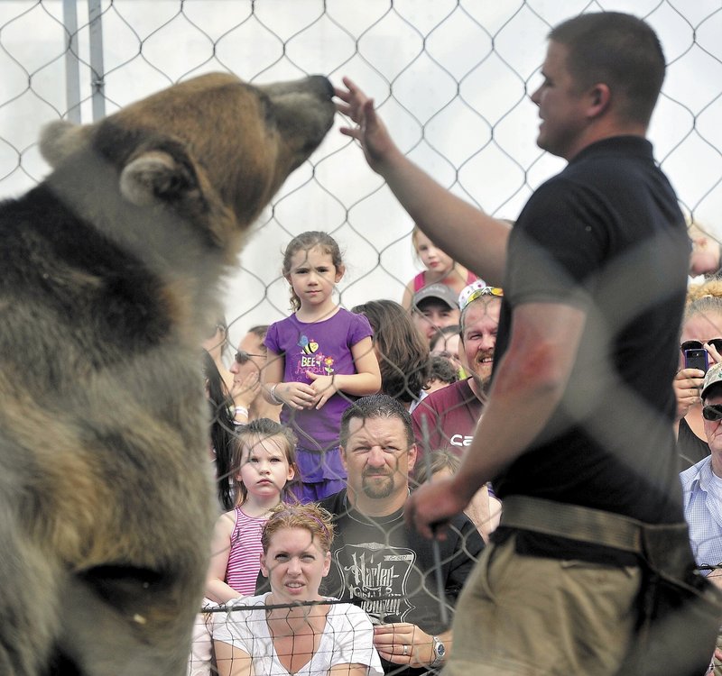 Dexter Osborn puts on a show with Tonk, his 600-pound Alaskan grizzly bear, at the Skowhegan State Fair on Sunday.