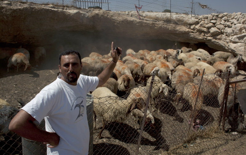 Palestinian shepherd Najati Abu Ali, 40, was a witness to the recent attack on his fellow shepherd Najeh Abu Ali, 47. Palestinians see the attacks as an attempt to scare away villagers.