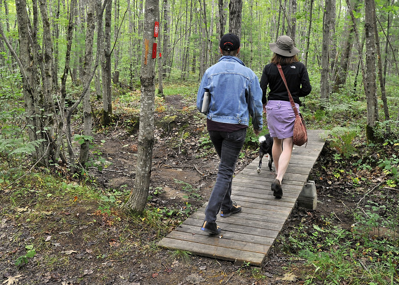 A wooden bridge connects the Trolley Trail to the Smith Preserve trails, making it easy for hikers to enjoy the 1,100-acre preserve and its wildlife.