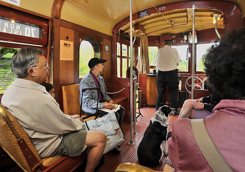 Passengers and even their dogs can ride the Seashore Trolley into the Kennebunkport Conservation Trust’s 1,100-acre Smith Preserve, where a lush habitat teeming with wildlife can be appreciated by visitors to the popular coastal community.