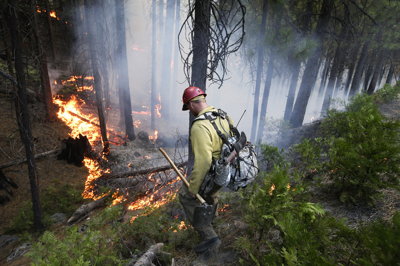 Firefighter Russell Mitchell monitors a back burn during the Rim Fire near Yosemite National Park, Calif., earlier this week.