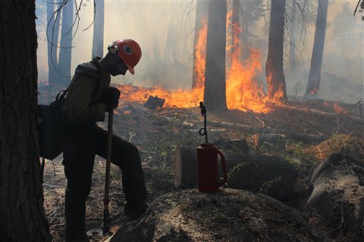 In this photo provided by the U.S. Forest Service, a Hotshot fire crew member rests near a controlled burn operation, as crews continue to fight the Rim Fire near Yosemite National Park in California on Wednesday. The fire's southeast flank in Yosemite is expected to remain active where unburned fuels remain between containment lines and the fire.