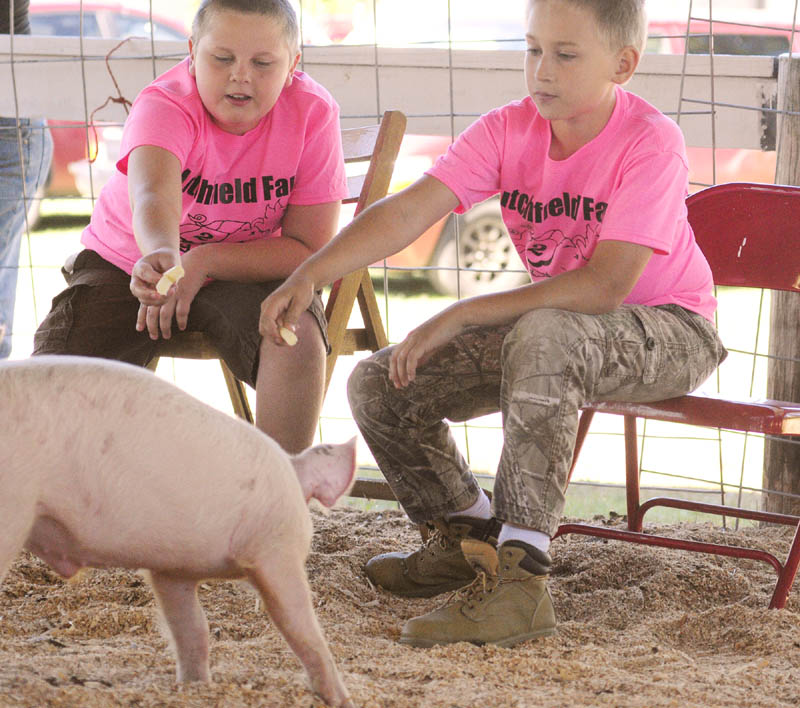 Gabe Stinson, left, and Cameron Ridley try to encourage their pigs towards the finish line with string cheese treats during the pig race on Friday September 6, 2013 at the Litchfield Fair. The fair runs through Sunday and the fairgrounds are located near intersection of Hallowell and Plains Roads. See a video of the pig race at http://www.kjonline.com.