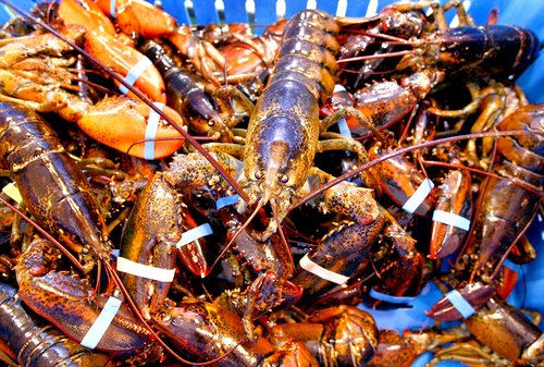 Lobster was Maine's top fishery for 2012, with a record 127 million-pound catch valued at a record $341 million. Lobster accounted for 65 percent of the value of the total catch for the year.