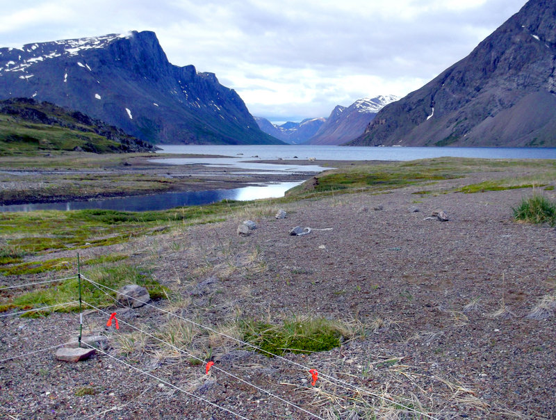 Torngat Mountains National Park in northern Labrador is where Matt Dyer’s group ventured. They used an electric fence, lower left in photo, at their campsite to ward off polar bears, but it did not prevent the attack on Dyer.