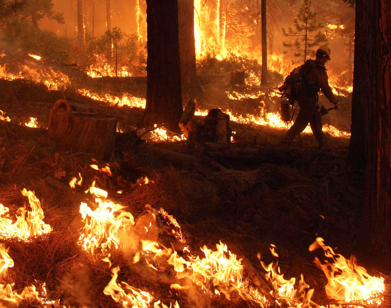 In this Friday, Aug. 30, 2013 file photo provided by the U.S. Forest Service, a member of the Bureau of Land Management Silver State Hotshot crew from Elko, Nevada, walks through a burn operation on the southern flank of the Rim Fire near Yosemite National Park in Calif. The wildfire burning in and around Yosemite National Park has become one of the largest conflagrations in California history. (AP Photo/U.S. Forest Service, Mike McMillan)