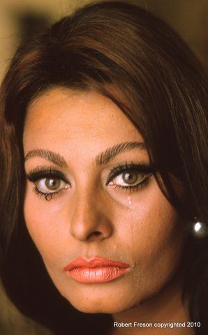 A Robert Freson photo: Actress Sophia Loren.