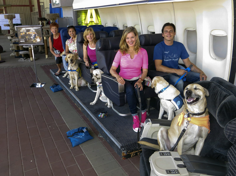 Megan Blake, center, the Air Hollywood K9 Flight School director, is seen with her dog, Super Smiley, far right. The other dogs and “passengers” are with the Canine Companions for Independence program, as they sit on board a flight simulator at the America’s Family Pet Expo in Costa Mesa, Calif.