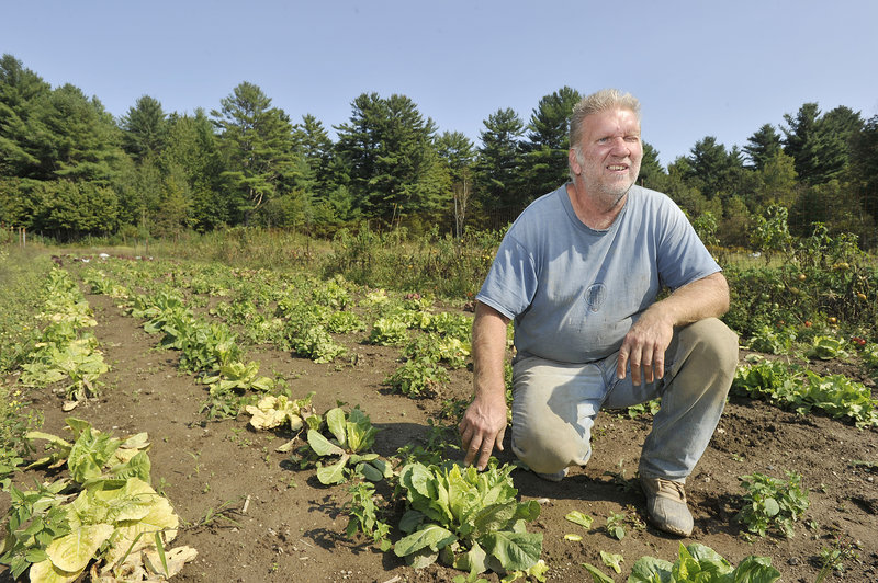 Farmer Bruce Hinck of Yarmouth has been having problems with deer eating his lettuce crop this season, which he believes is caused by the hundreds of train oil cars parked on a nearby siding which in effect trap them on his side of the train tracks.
