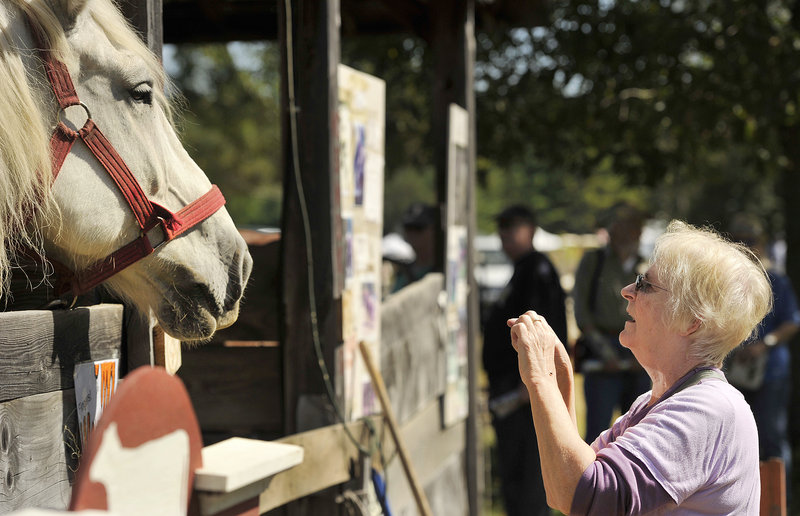 Judy Harris, visiting family in Maine from her home in Austin, Texas, takes photos of a Percheron draft horse belonging to Webb Family Farms on opening day at the Common Ground Fair in Unity on Friday, Sept. 20, 2013.