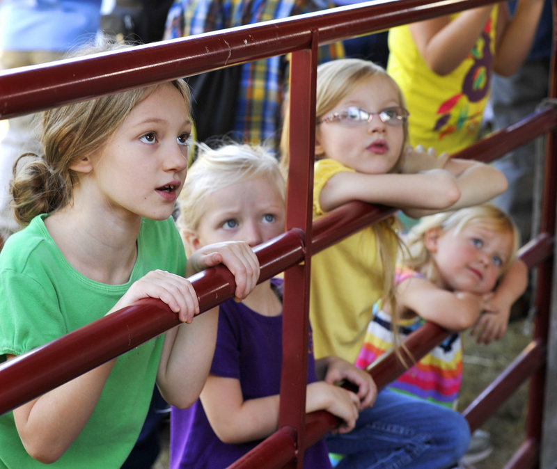 Fair-goers (from left) Grace Clark, Lydia Clark and Ella Clark, of Fairfield, and Charlie Thompson, of Bowdoinham, watch a sheep trimming demonstration Friday, Sept. 20, 2013 at the Common Ground Fair in Unity.