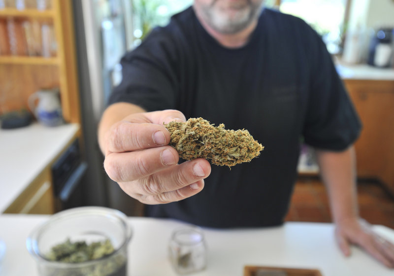 A York County caregiver named Frank displays buds from plants grown for use as medical marijuana. Caregivers also make brownies, chocolates and other pot products for patients.
