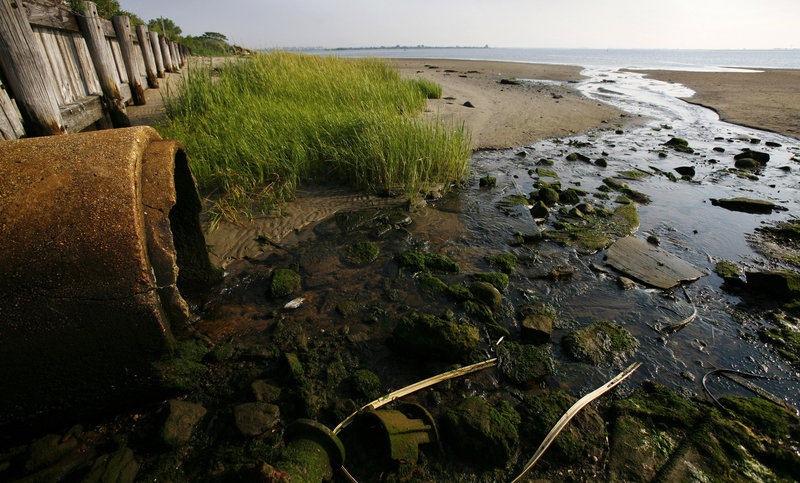 A drain pipe empties into Jamaica Bay in Brooklyn, N.Y. Runoff containing phosphorous, nitrogen and urban pollution is feeding algae blooms across the country that are threatening wildlife and recreation.