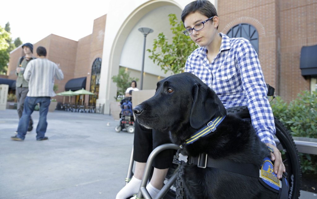 Wallis Brozman, 27, sits with her service dog, Caspin, outside a shopping mall in Santa Rosa, Calif. Brozman, who has dystonia, says phony service animals pose a threat to legitimate ones. “When my dog is attacked by an aggressive dog, he is not sure what to do about it and looks to me. It becomes a safety issue” for both dog and owner, Brozman said.