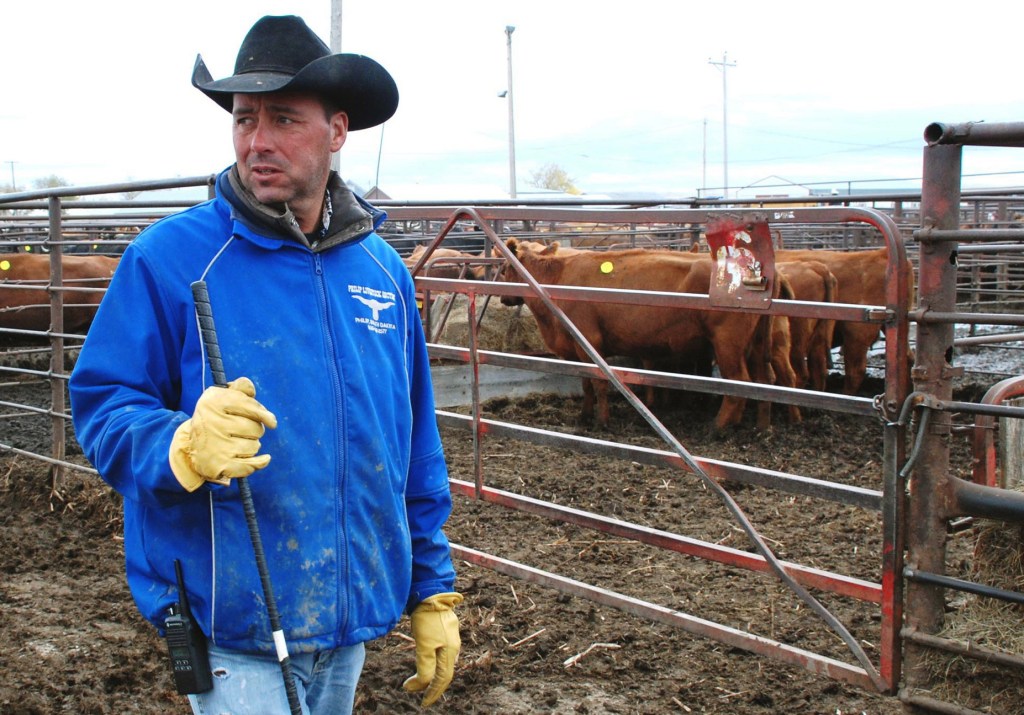Joe Carley is shown Wednesday at the Philip Livestock Auction in Philip, S.D., where he works to help make ends meet after losing numerous livestock in a freak blizzard.