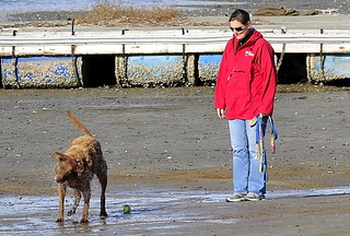 Cynthia Knight walks her dog Monday on Ferry Beach in Scarborough. Unleashed dogs on public beaches would be banned year-round under a law recently passed by the Town Council.