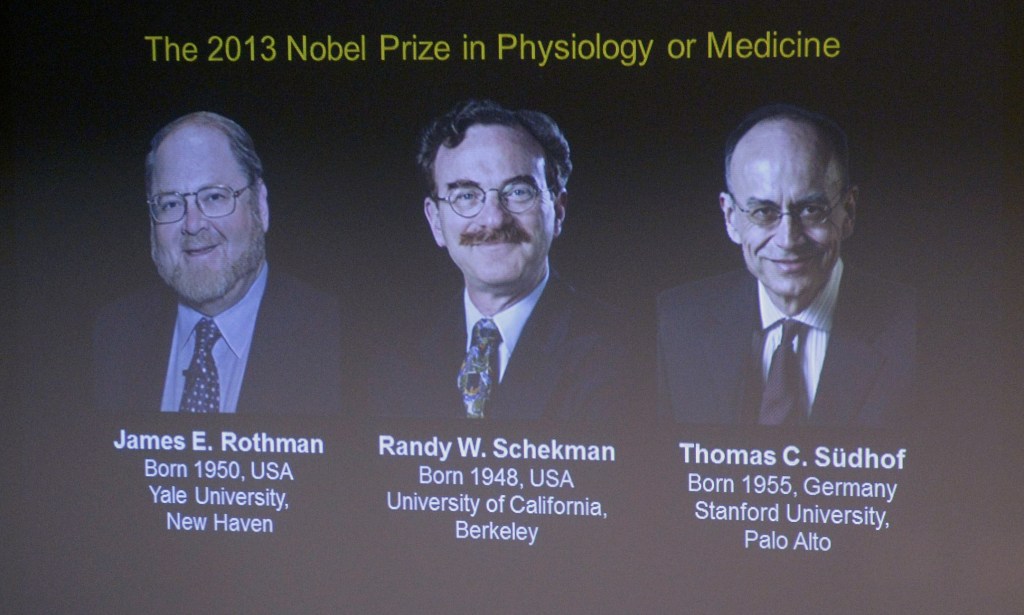 Images of James Rothman and Randy Schekman, of the U.S., and German-born researcher Thomas Suedhof are projected on a screen in Stockholm, Sweden, Monday after they were announced as the winners of the 2013 Nobel Prize in medicine.